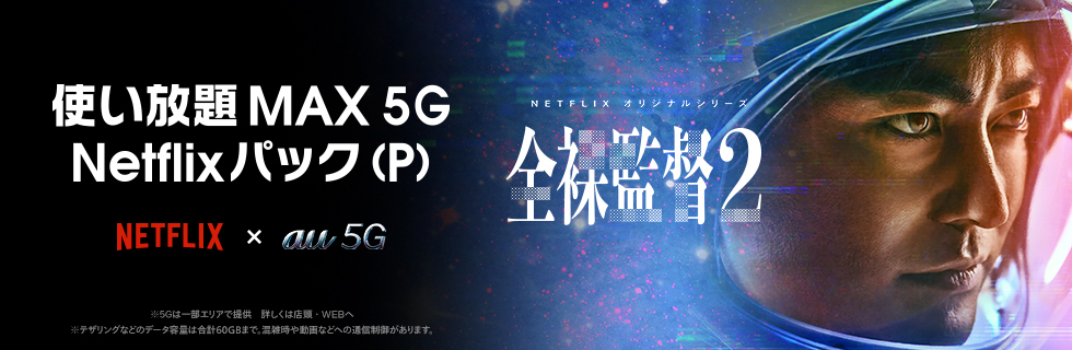 使い放題MAX 5G Netflixパック（P）